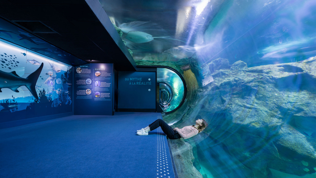 Aquarium de la Rochelle AgenceS & Saguez agence branding Avignon