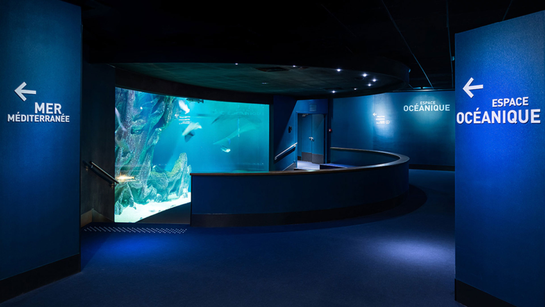 Aquarium de la Rochelle AgenceS & Saguez agence branding Avignon