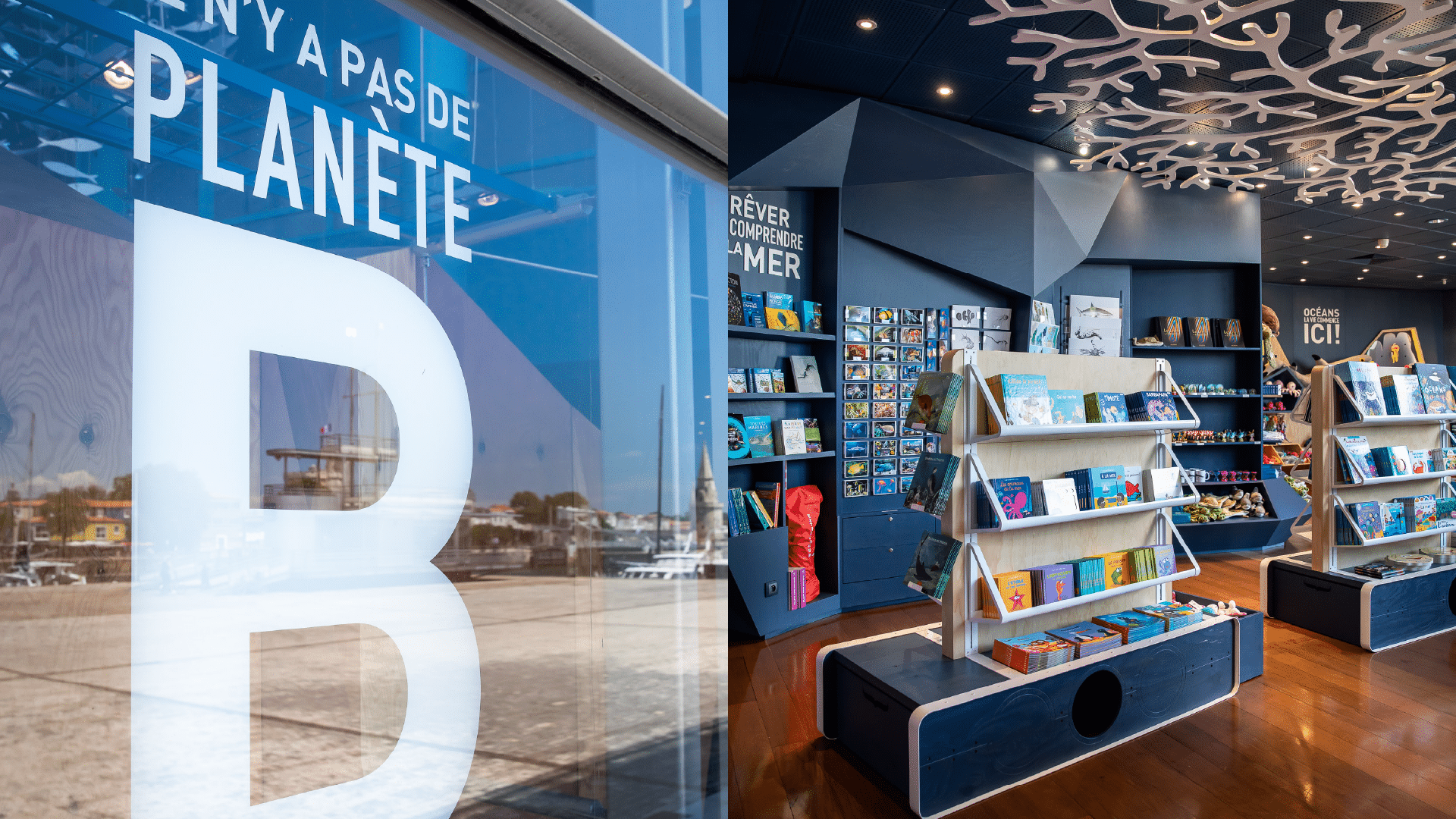 aquarium la rochelle-boutique-agence-S