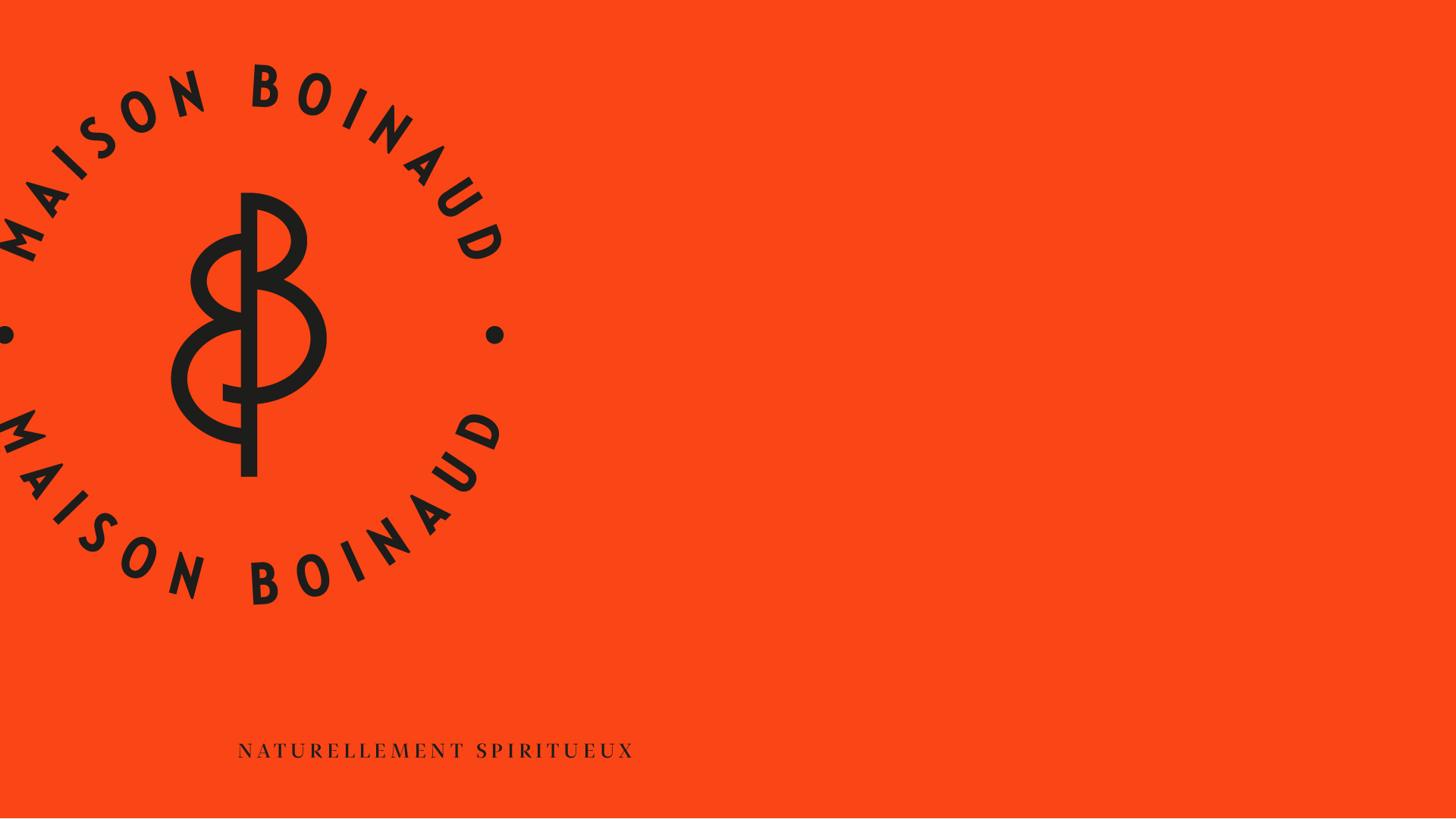 Logotype-Boinaud-agence-S