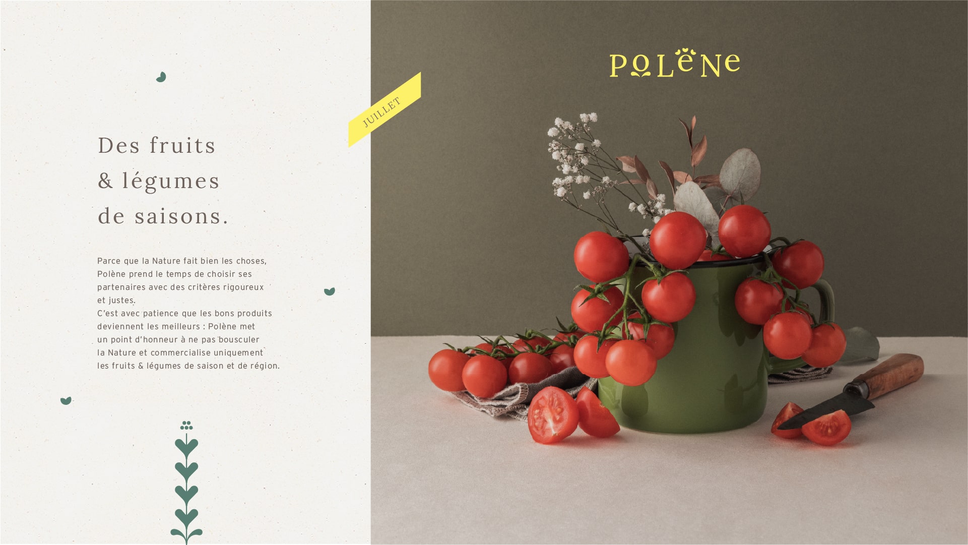 polene-agence-s-food-branding