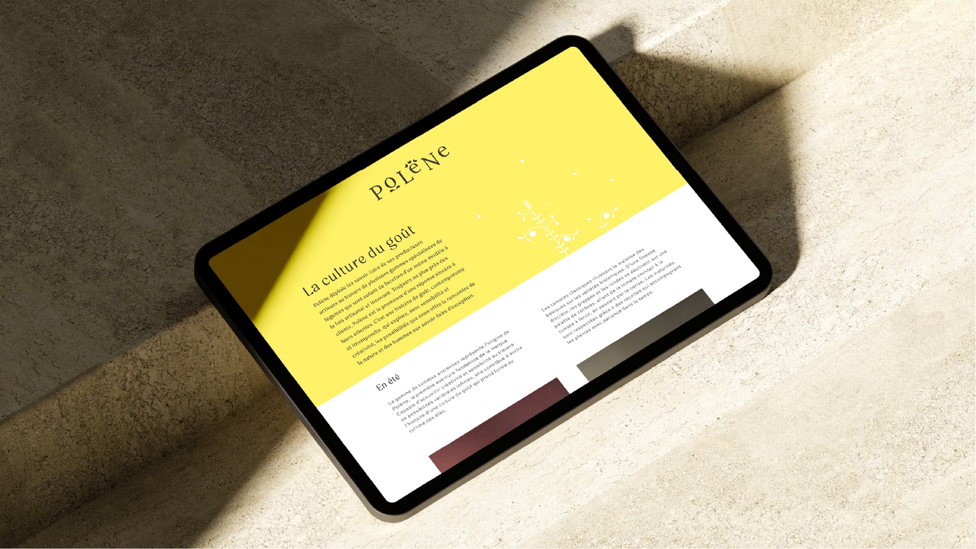 polene-agence-s-food-branding