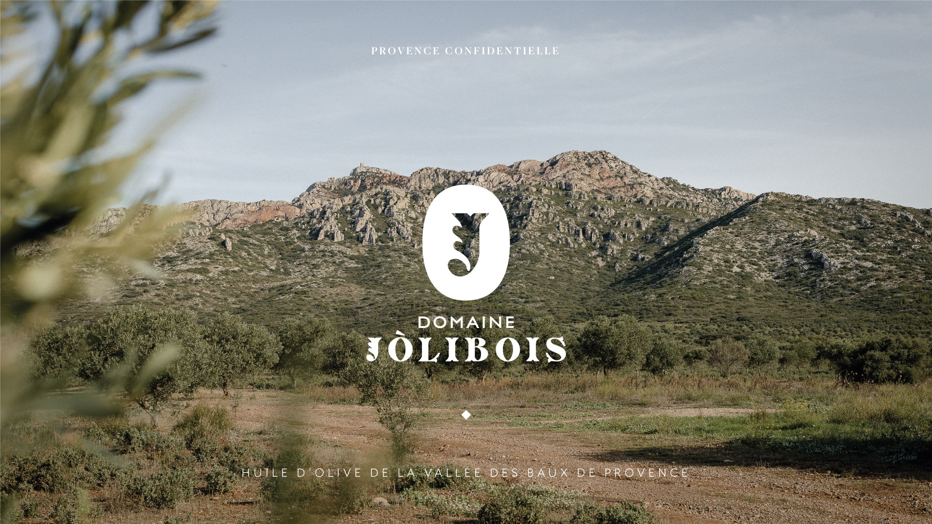 DomaineJolibois-branding-agence-S-avignon
