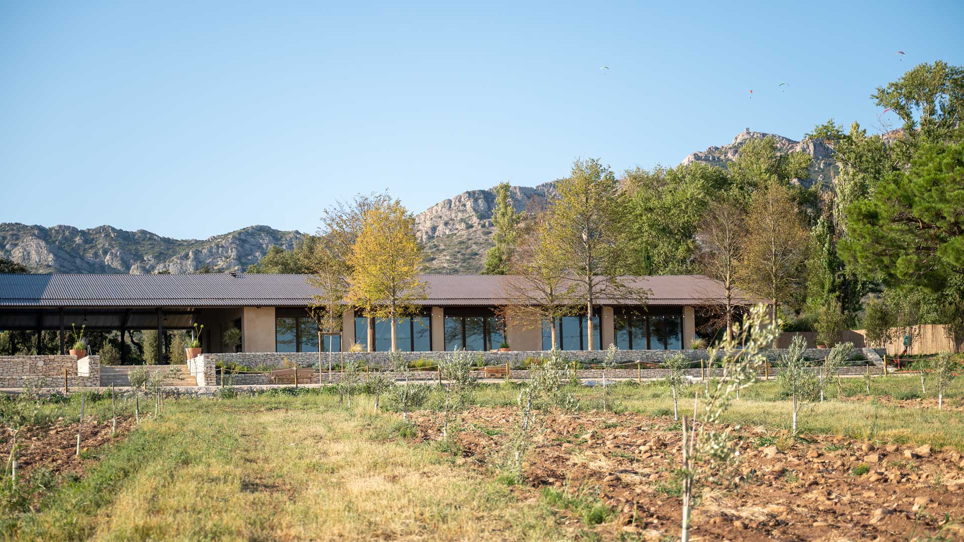 25-DomaineJolibois-Huile-olive-branding-agence-S
