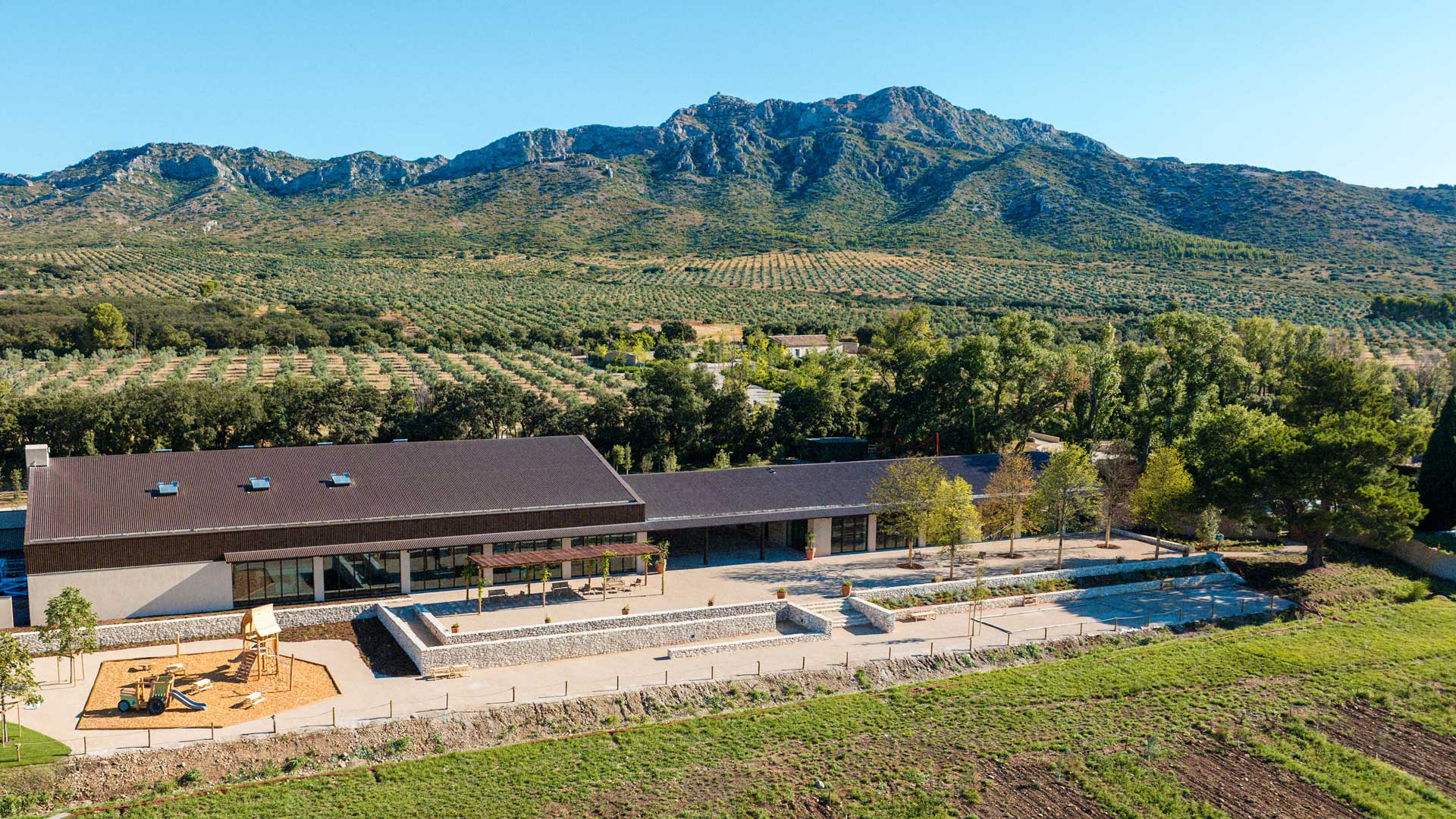 25-DomaineJolibois-Huile-olive-branding-agence-S