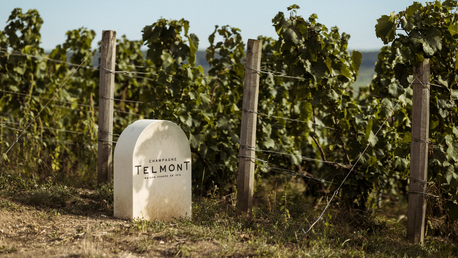 Telmont-Architecture-lieu-agence-S-saguez