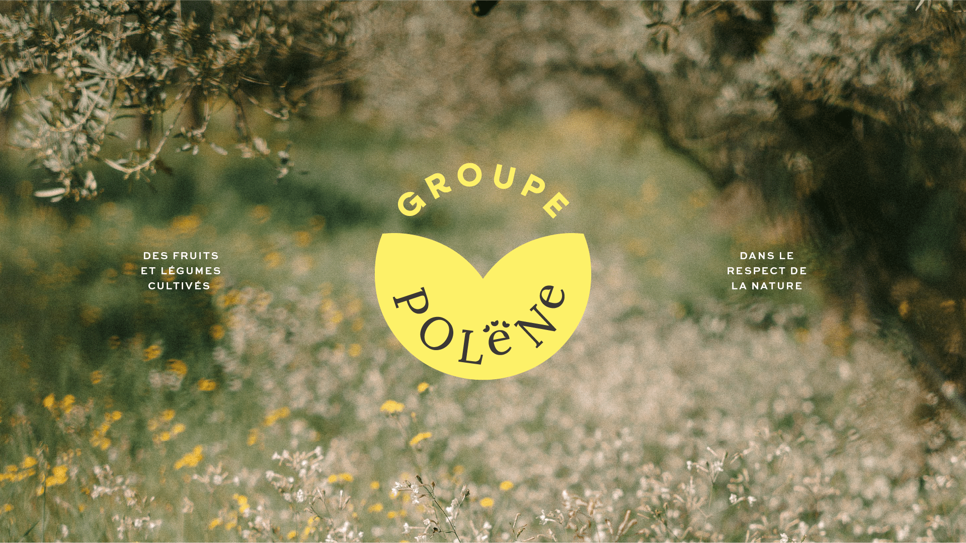 GroupePolene-agroalimentaire-agence-S