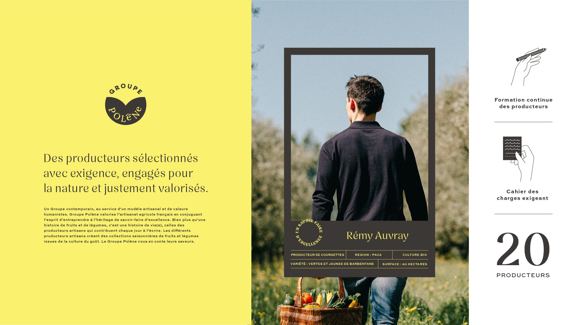 GroupePolene-agroalimentaire-agence-S