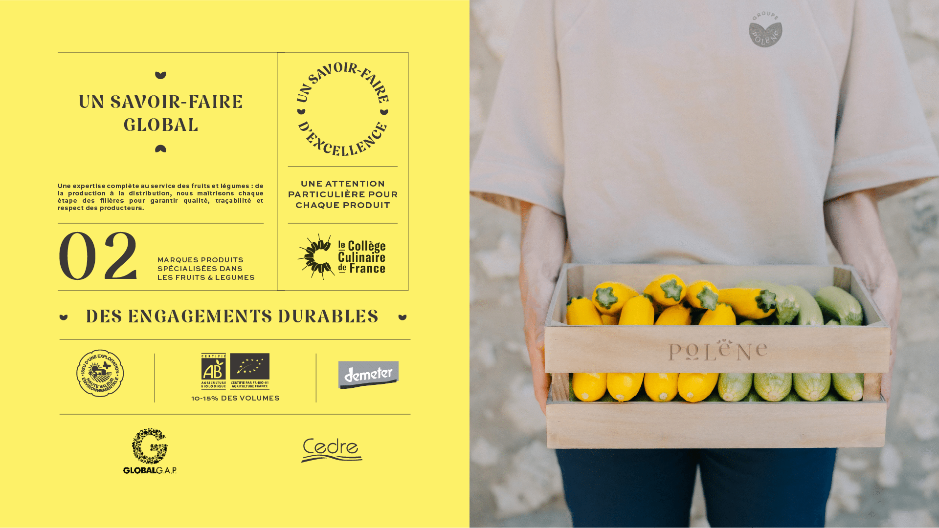 GroupePolene-epiceriefine-agence-S