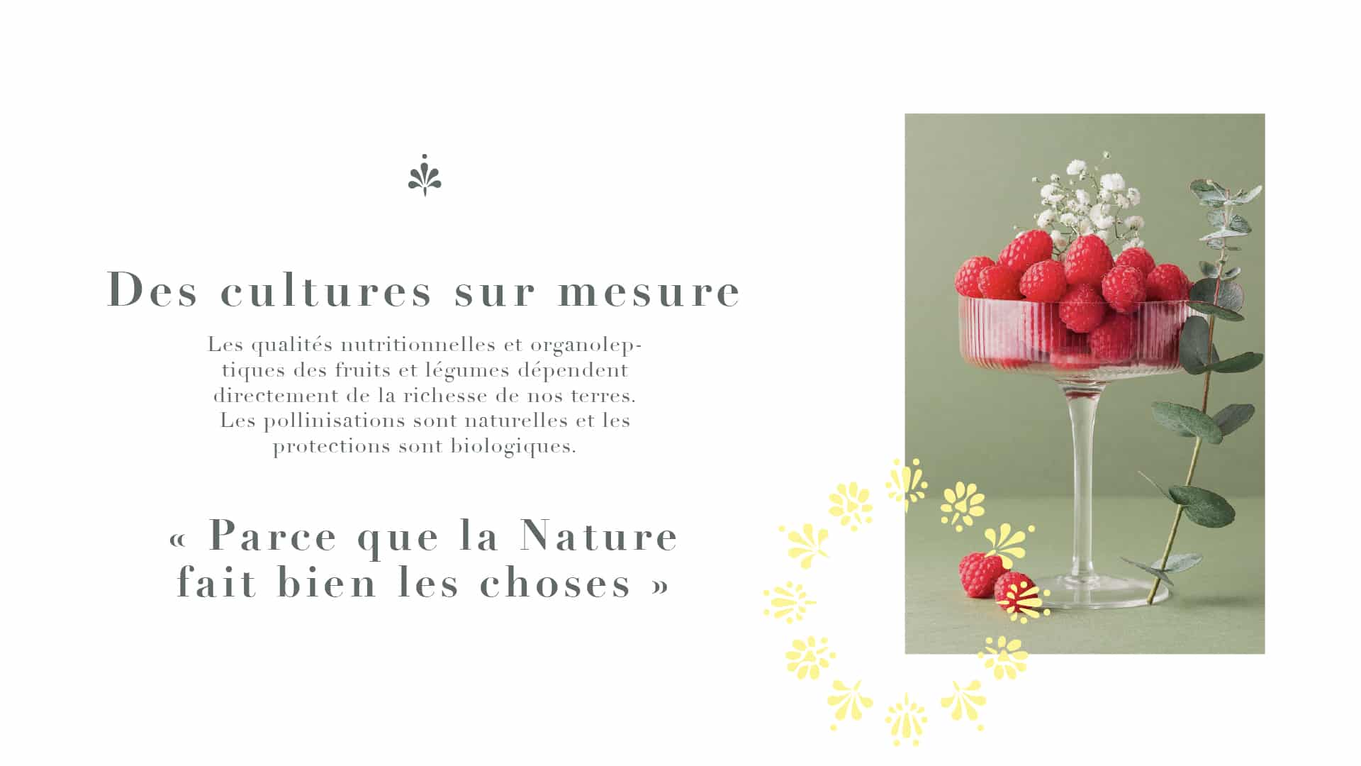 Opora-agence-s-food-branding