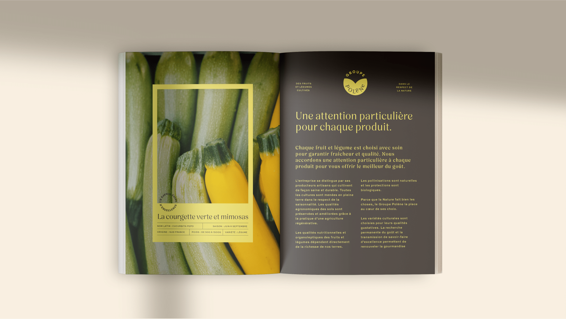 GroupePolene-fooding-branding-agence-S