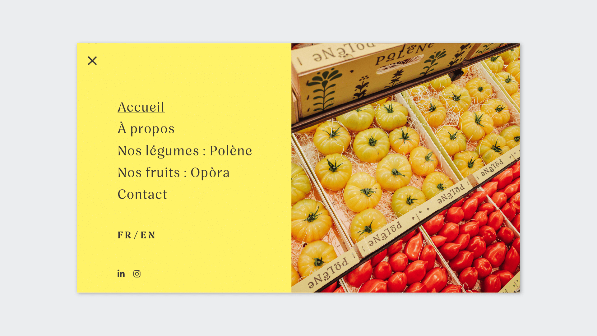 GroupePolene-fooding-branding-agence-S