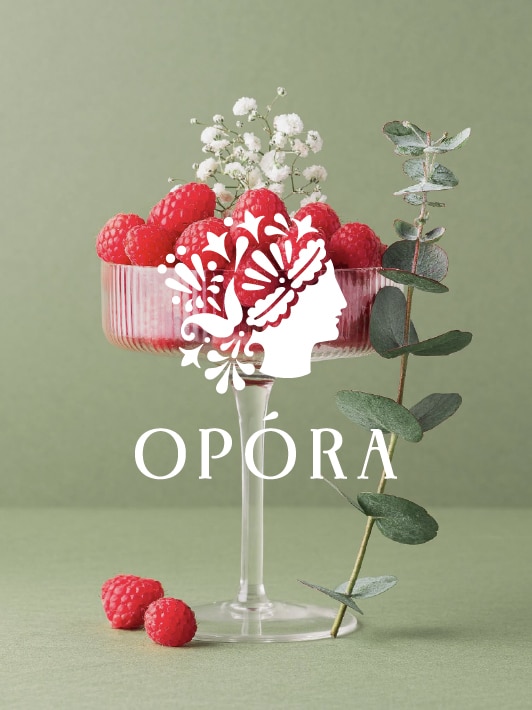 miniature-opora-agence-S