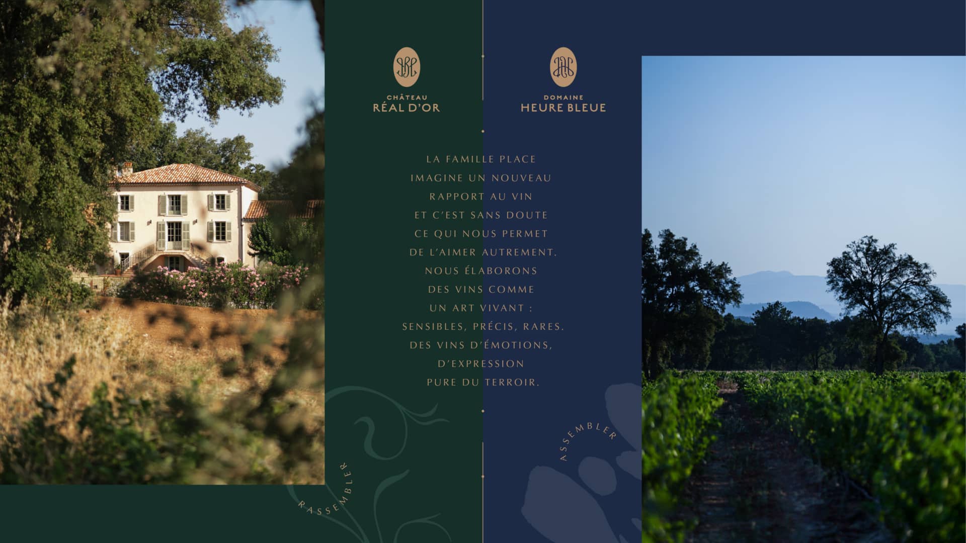 realdor-agence-s-branding-provence-Vins