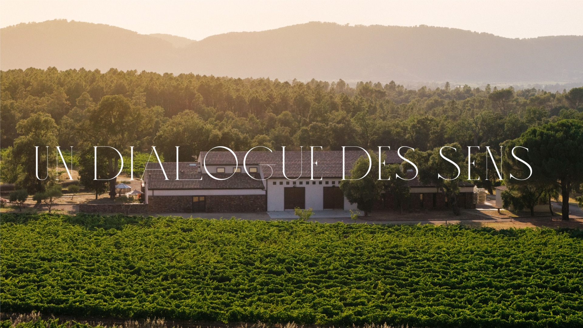 realdor-agence-s-branding-provence