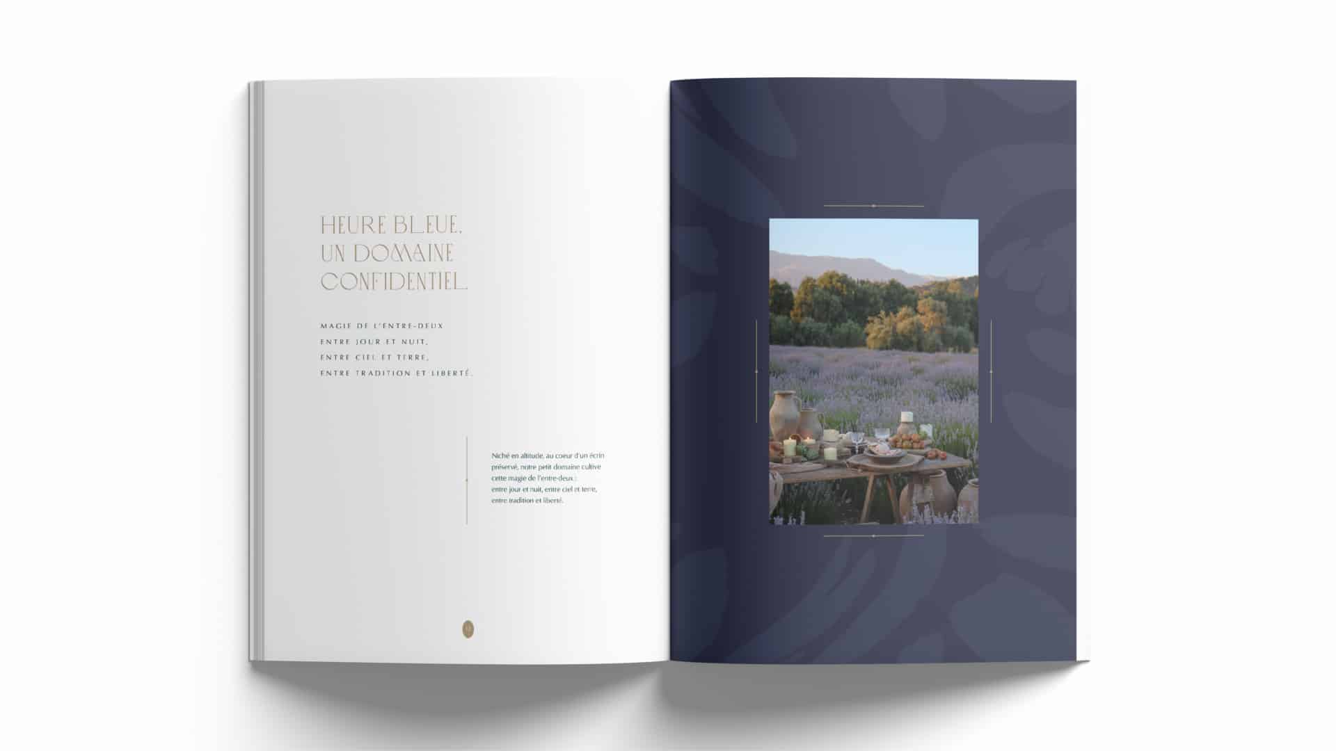 realdor-agence-s-branding-provence-vins
